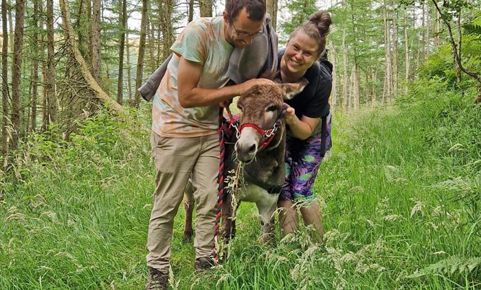 Smile with mini donkeys in the Brecon Beacons